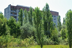 IMGP7469