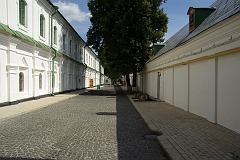 IMGP7345