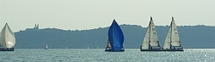 IMGP7843
