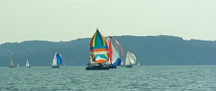 IMGP7848