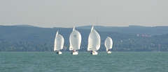 IMGP7860