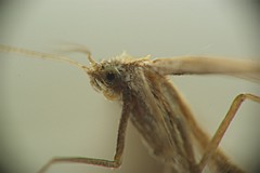 IMGP6153