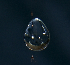 moreWater
