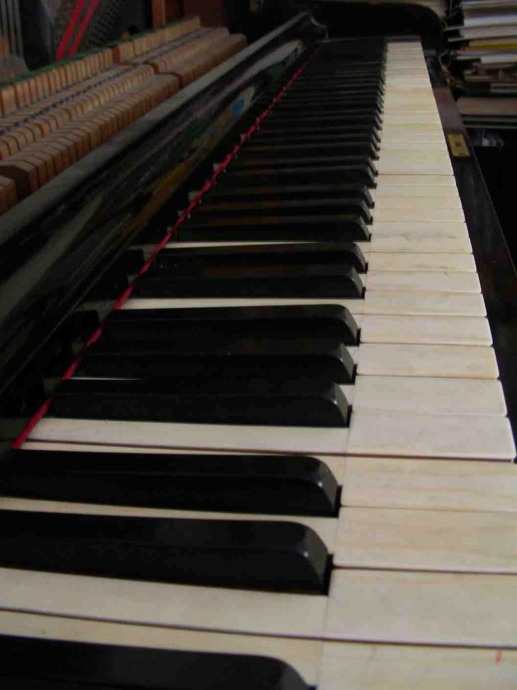 DSCN0277