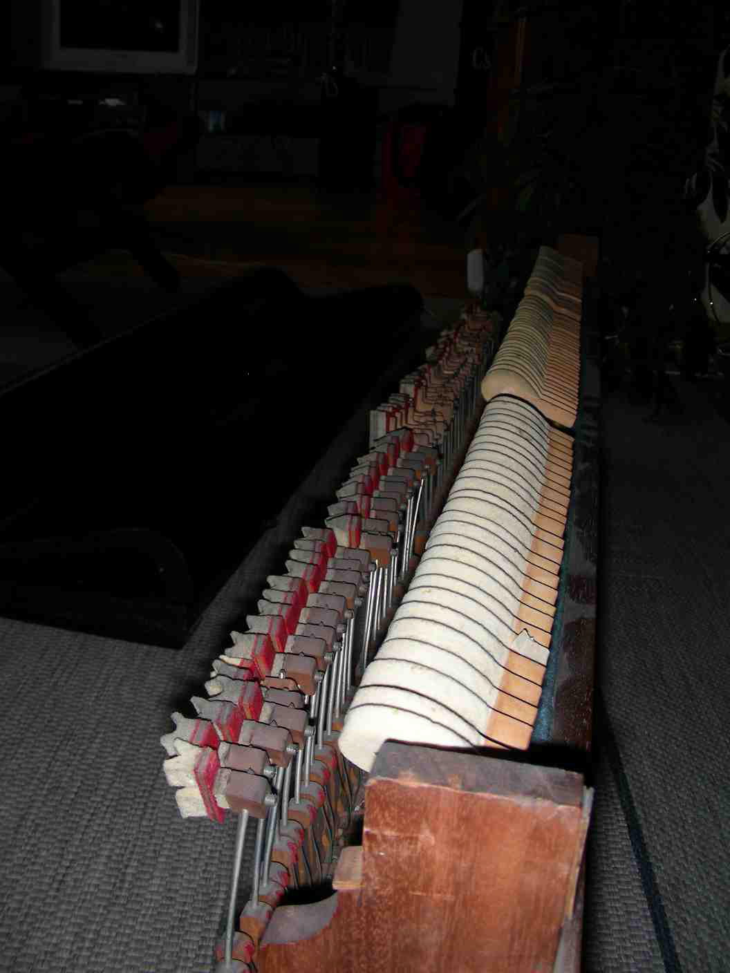 DSCN0284