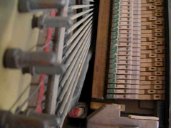 DSCN0271