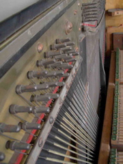 DSCN0273